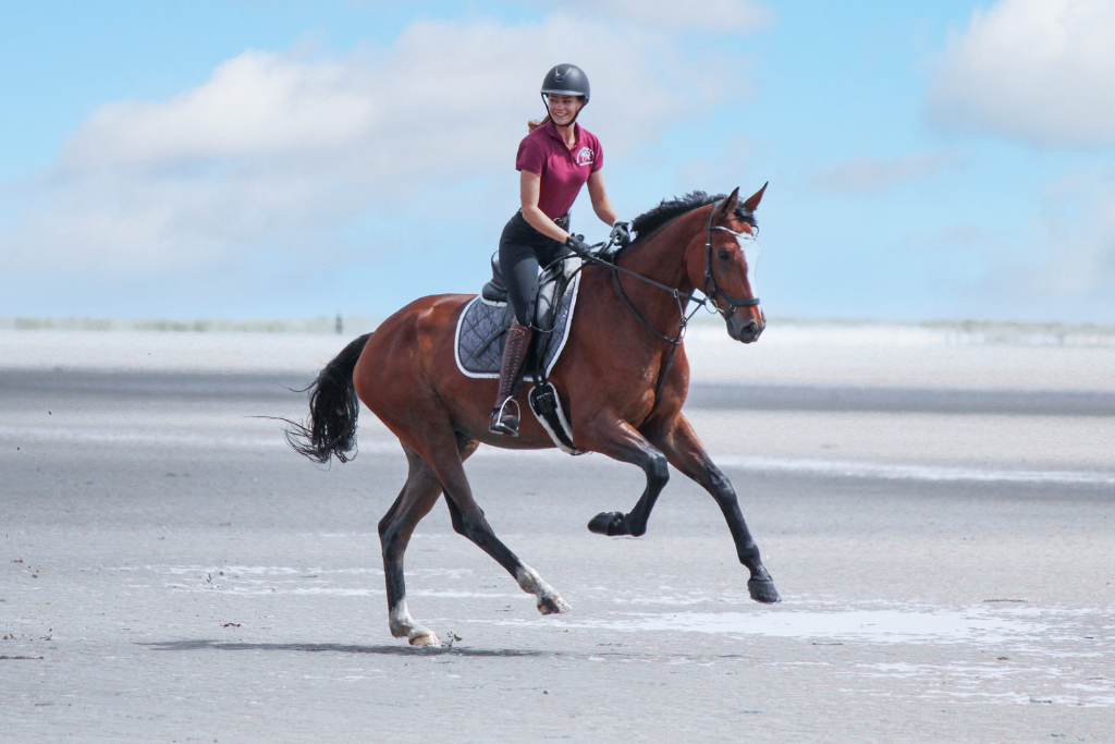 Pferd mit Reiterin im Galopp am Strand